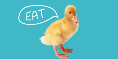 100 basic verbs in English for beginners