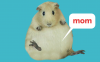Медицинский английский с TED: pregnancy vocabulary