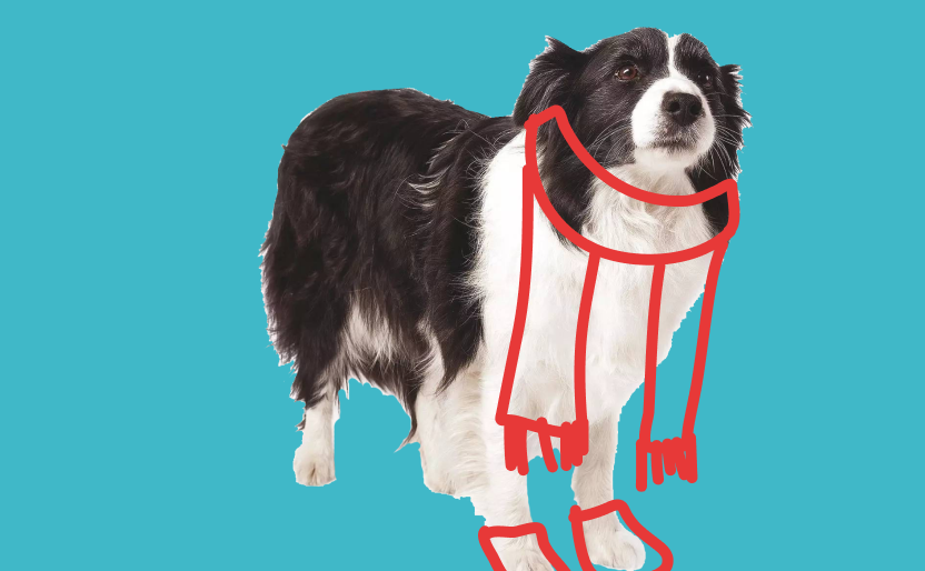 Правила використання Present Simple та Present Continuous