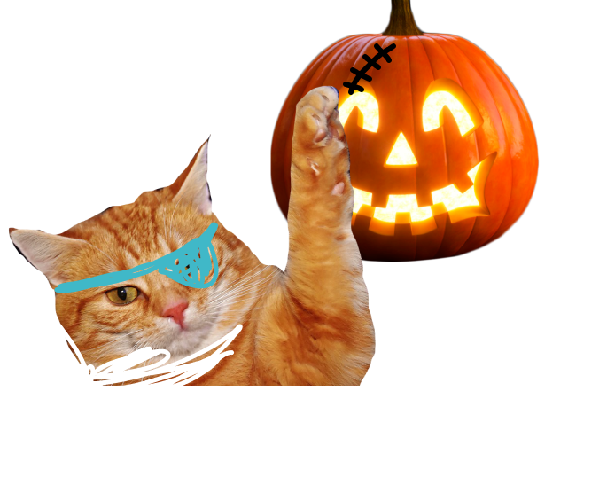 Идиомы на тему Halloween with Cap The Cat